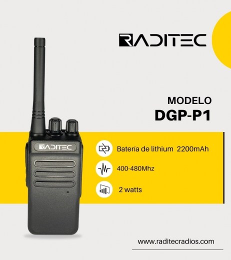 DGP-P1