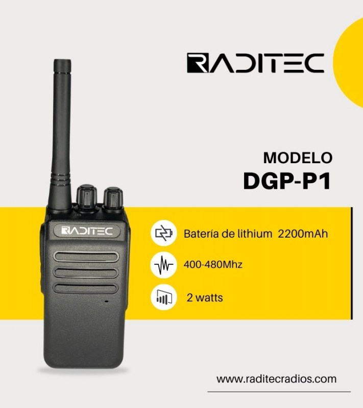 DGP-P1