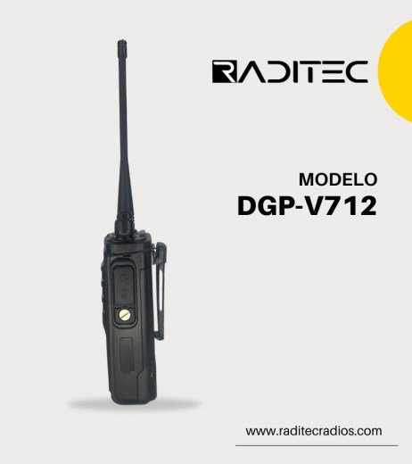 DGP-V712