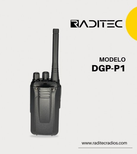 DPU-P17